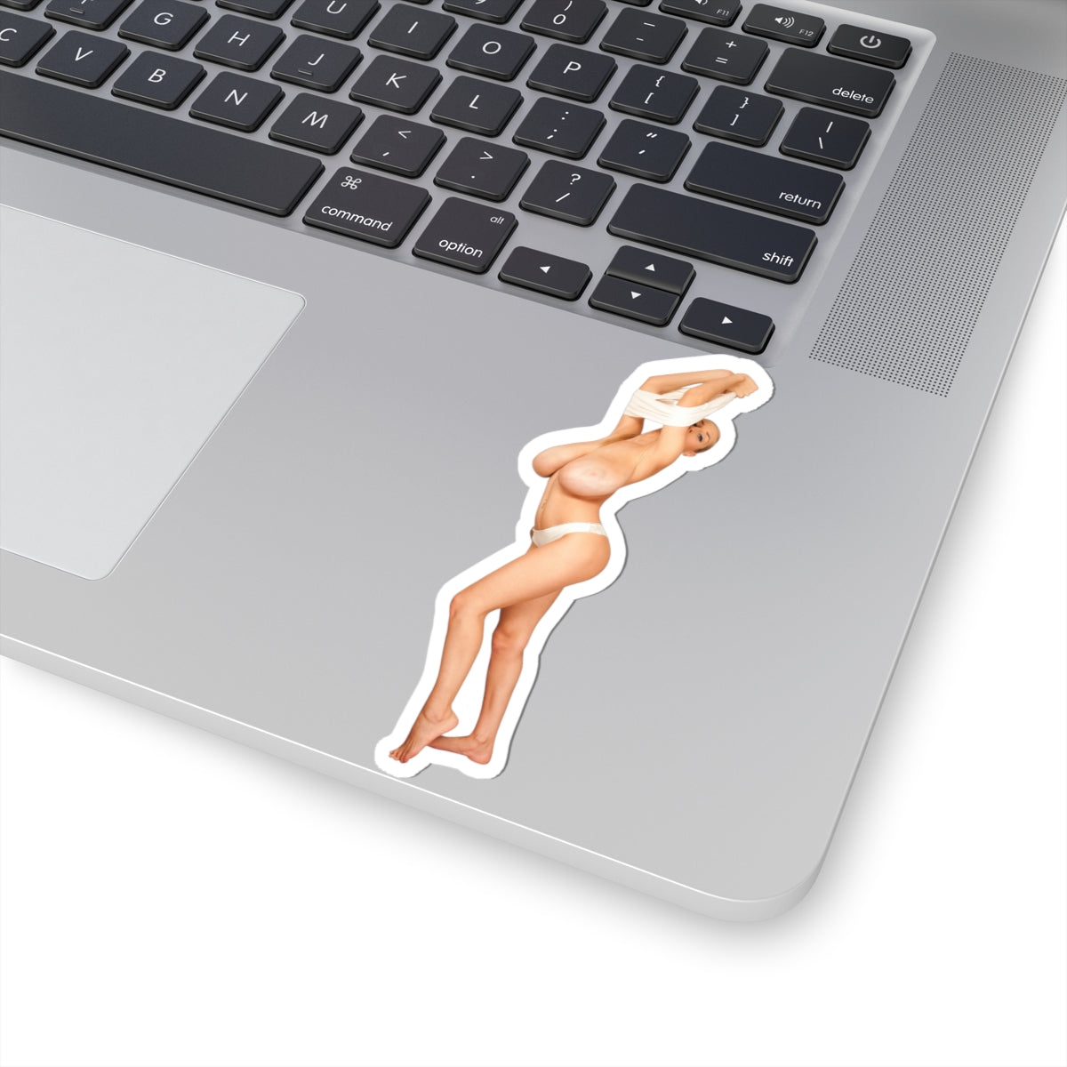 Big Boobs Girl Sticker