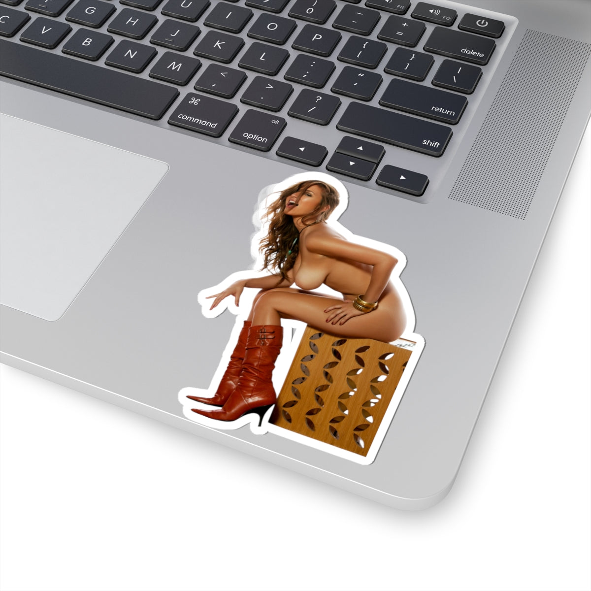 Sexy Vintage Girl Sticker Retro Pinup Woman Decal