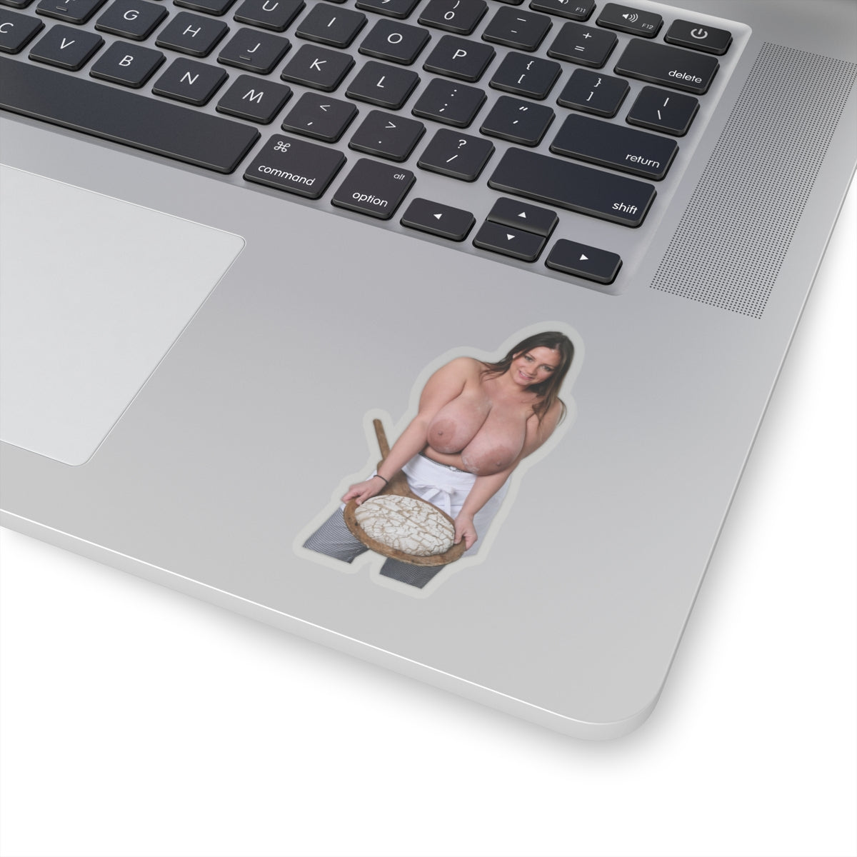 Nadine Jansen Big Tits Model Baker Sticker Sexy Girl Pinup Stickers