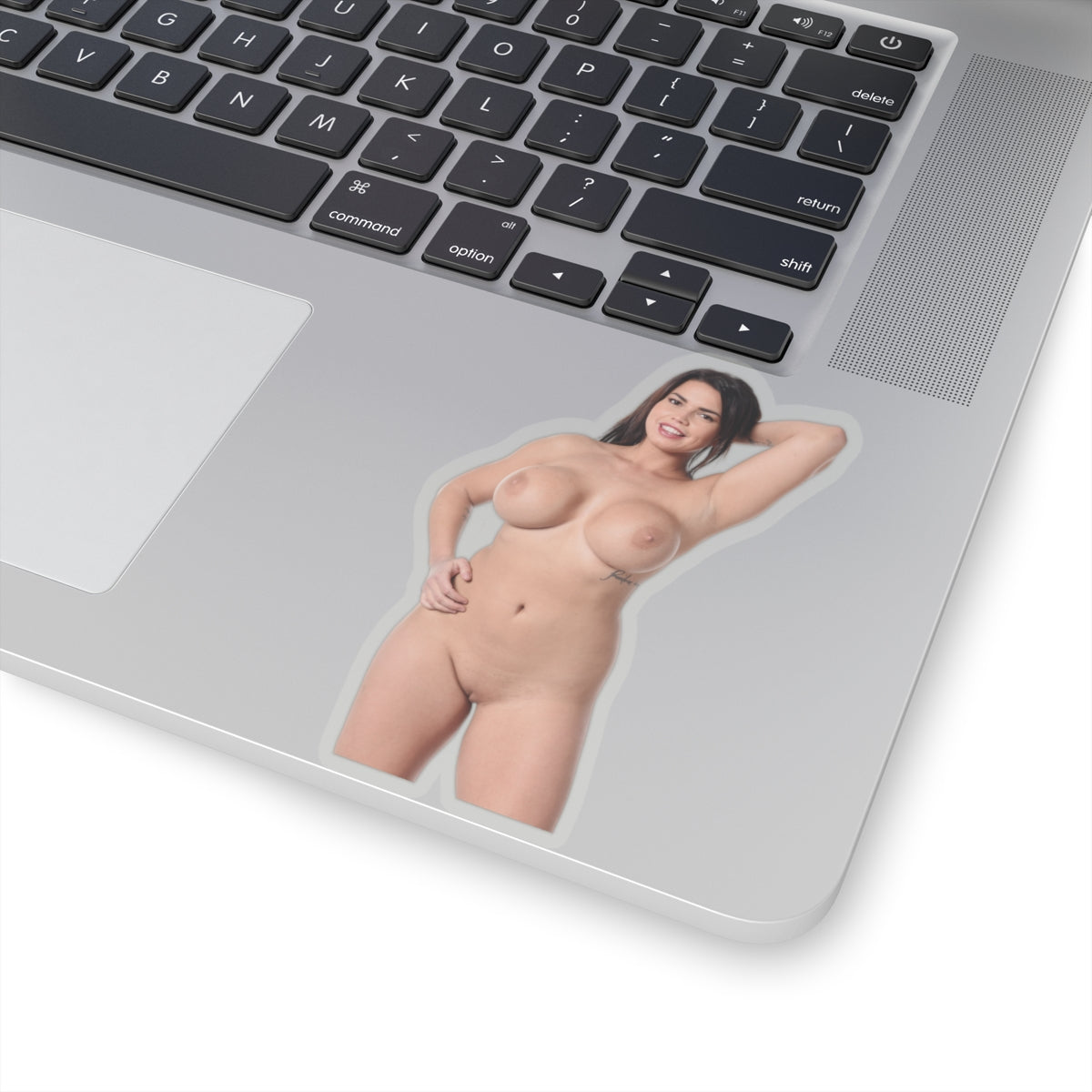 Beautiful Big Tits Girl Sticker