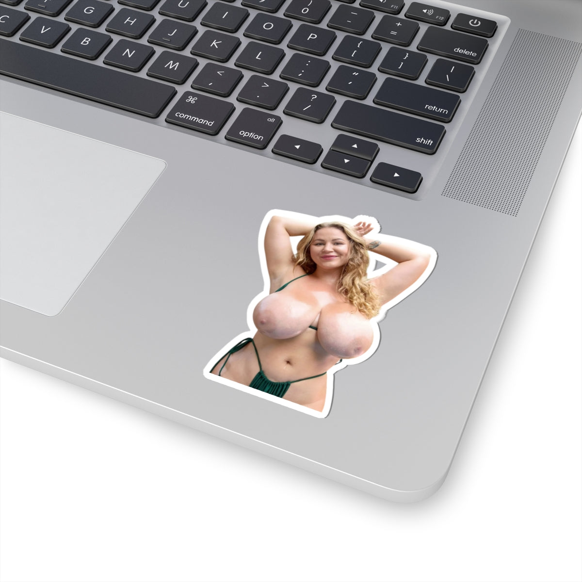 Busty Girl Big Tits Women Stickers