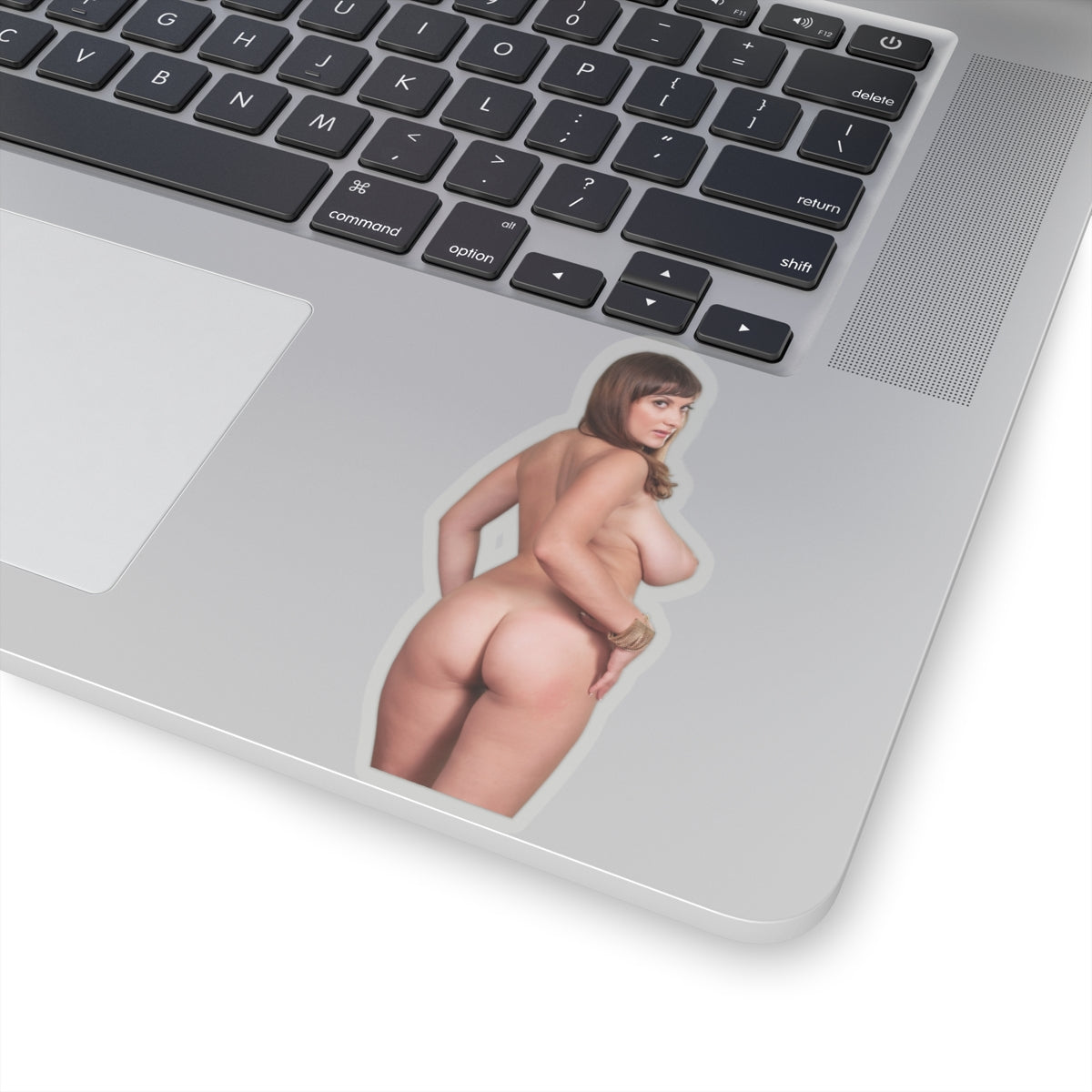 Big Tits Girl Sticker Uncensoerd Stickers For Adults