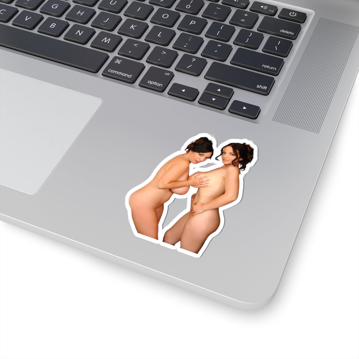 big tits girls sticker naked women stickers big boobs decals