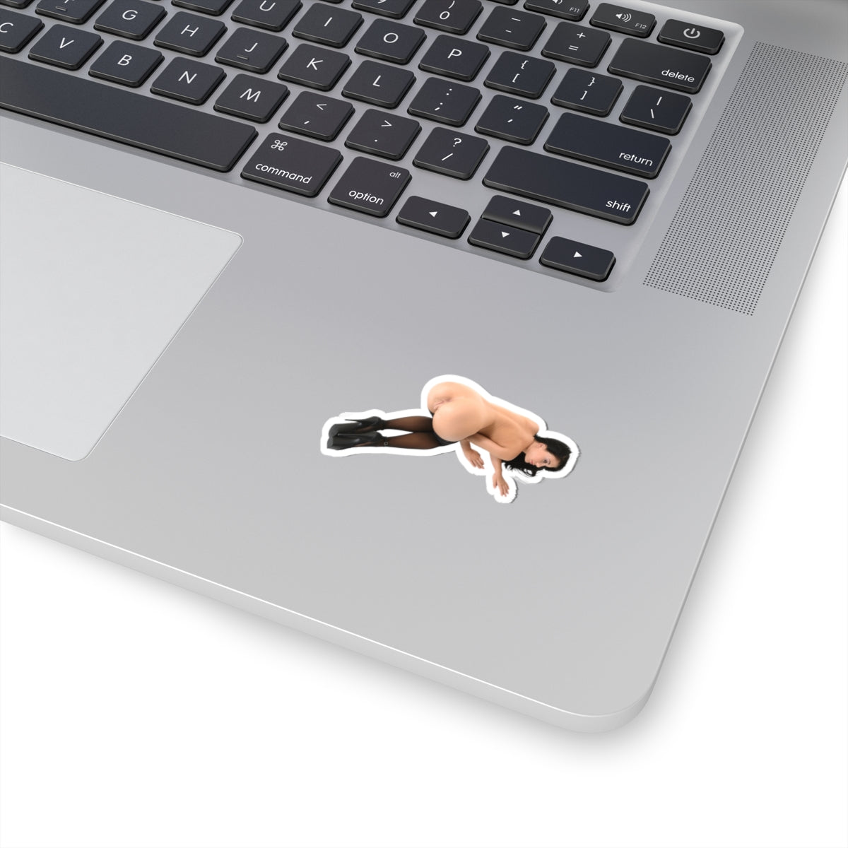 sexy brunette sticker big tits girl ass pinup model stickers
