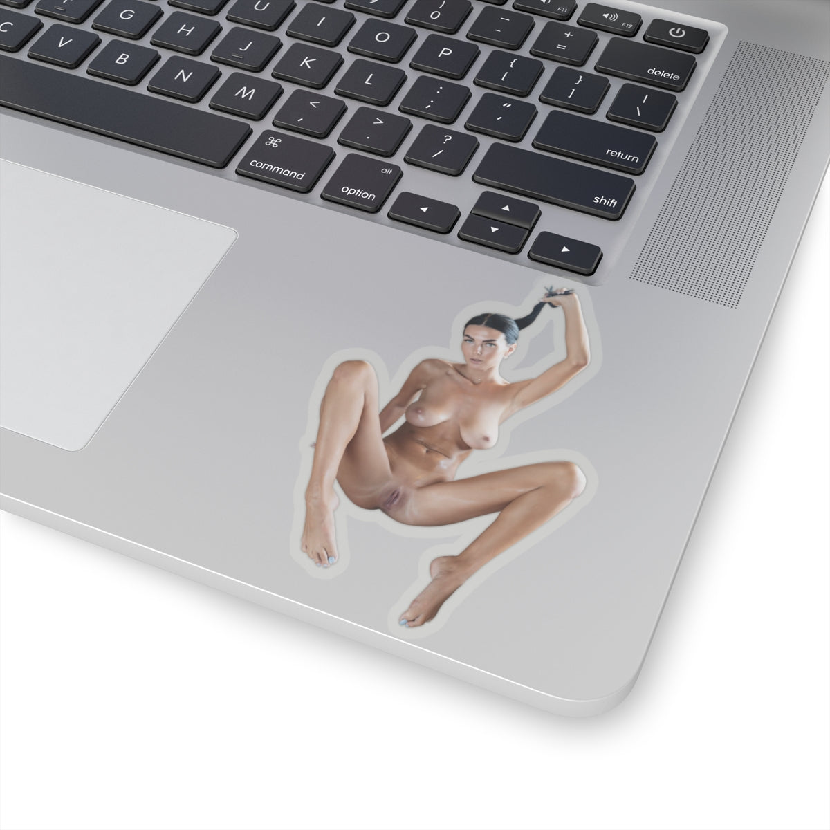 Pinup Stickers Sexy Women Uncensored Sticker