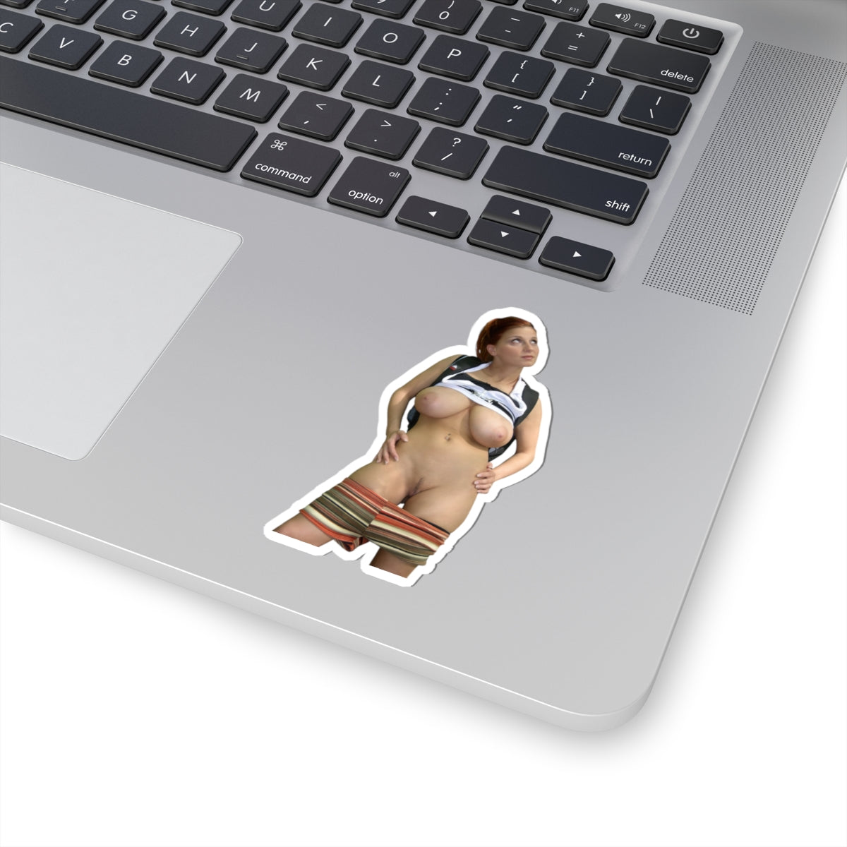 Naked Girl Stciker Pinup Stickers Uncensored Decals