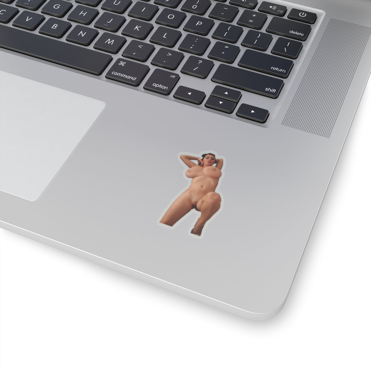 Naked Model Sticker Pinup Girl Stickers