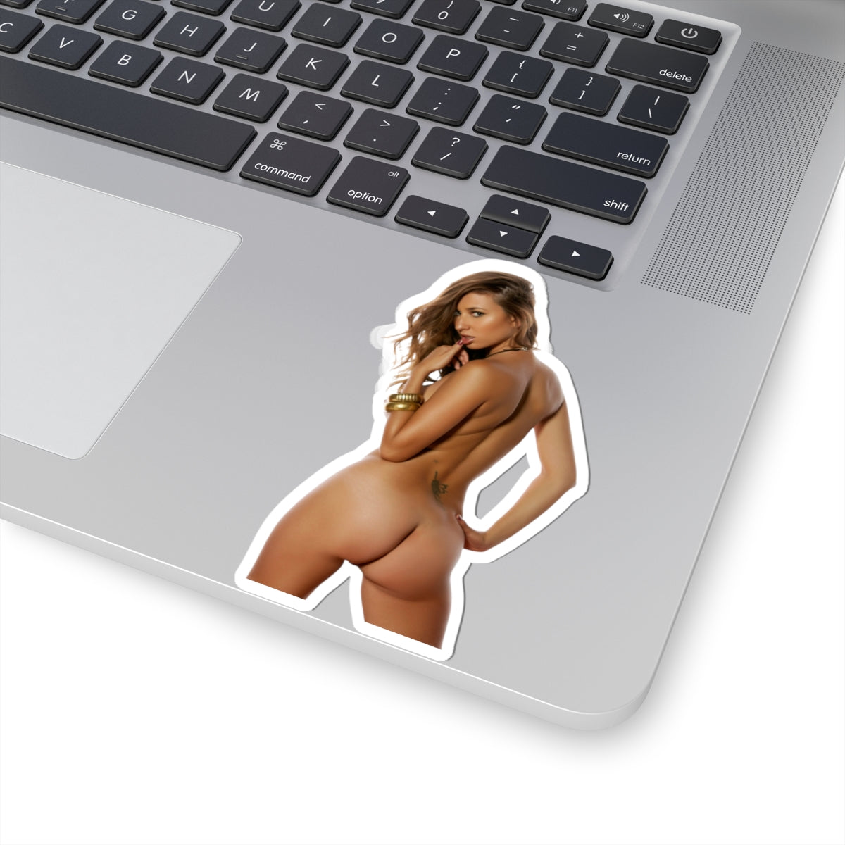 Vintage Model Sticker Sexy Ass Girl Stickers