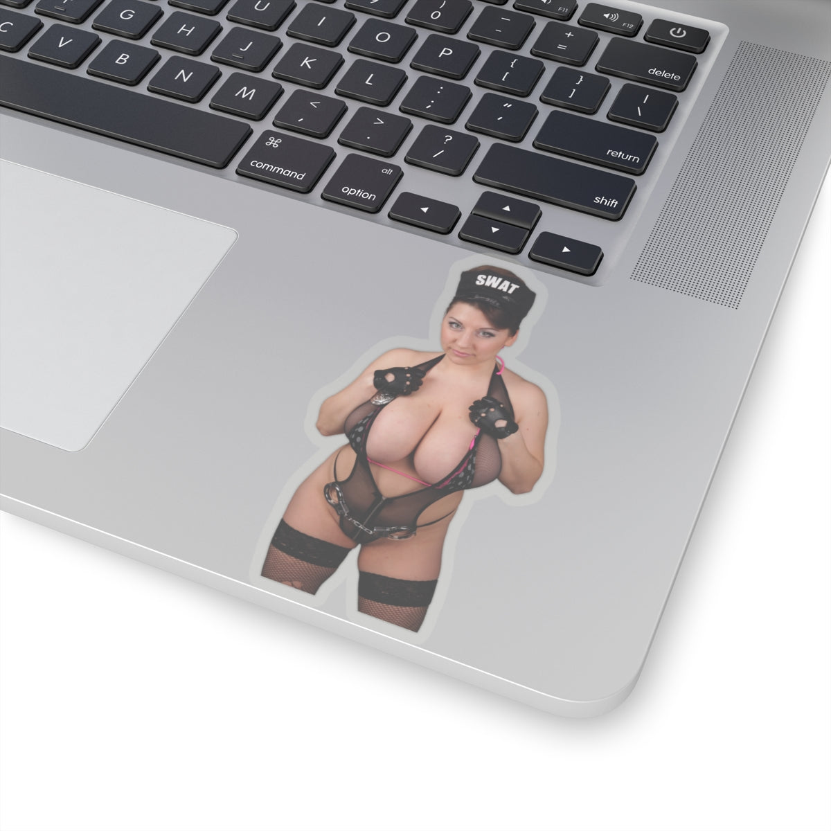 Swat Sticker Big Tits Girl Beautiful Model Pinup Stickers Funny Stickers Meme Sticker E756