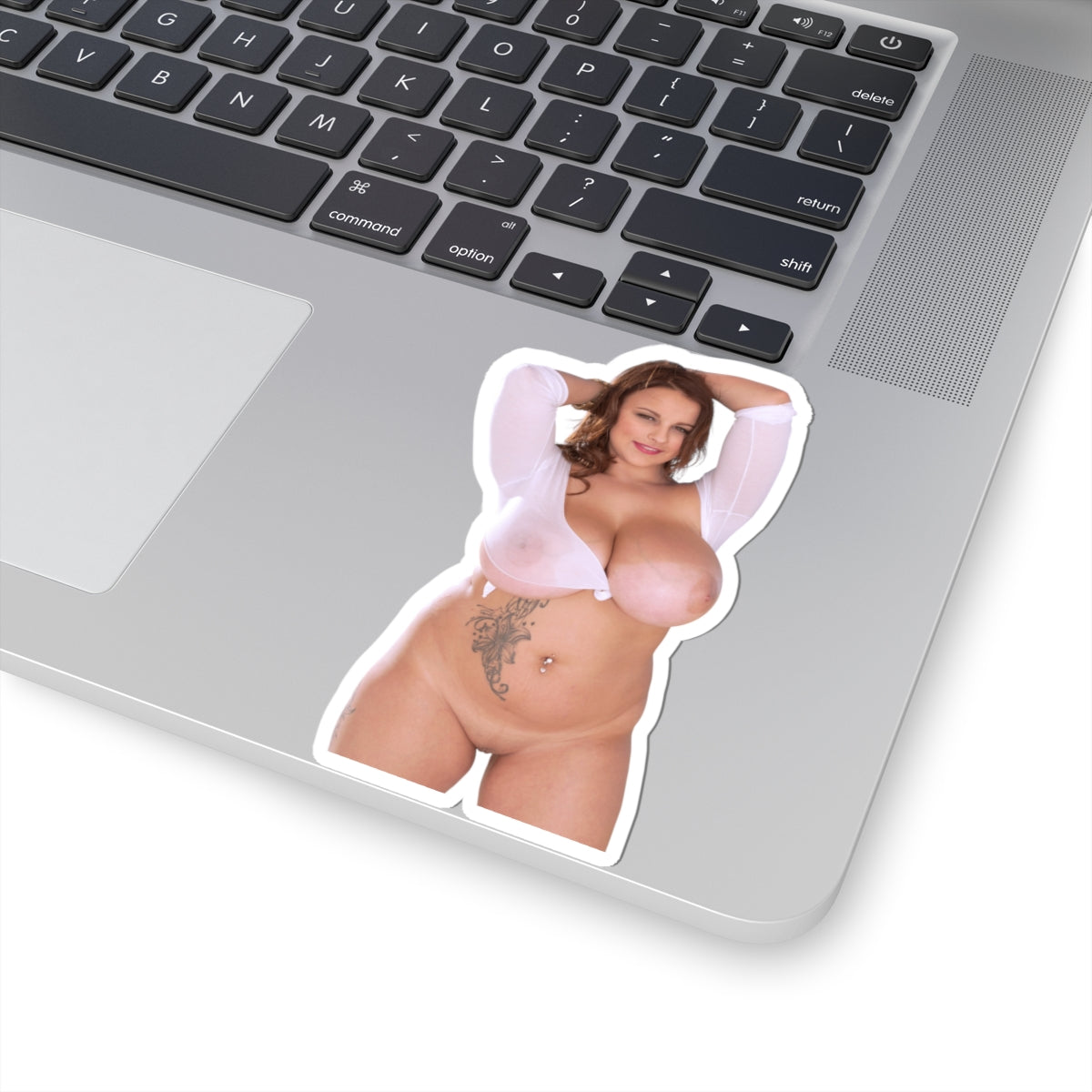 Terri Jane Sticker Big Tits Model Stickers