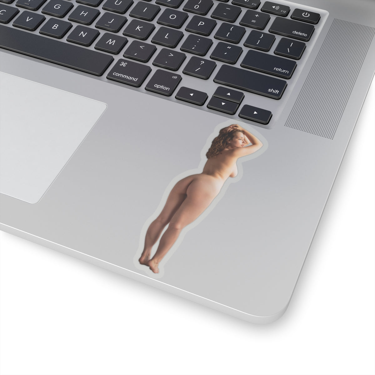 Pinup Model Sticker Hot Girl Stickers Nude Sexy Women