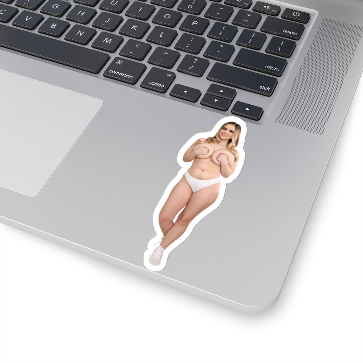 Stunning Women Sticker Beautiful Blond Pinup Stickers Sexy Girl Hot Model Vinyl Transparent or White Stickers E482