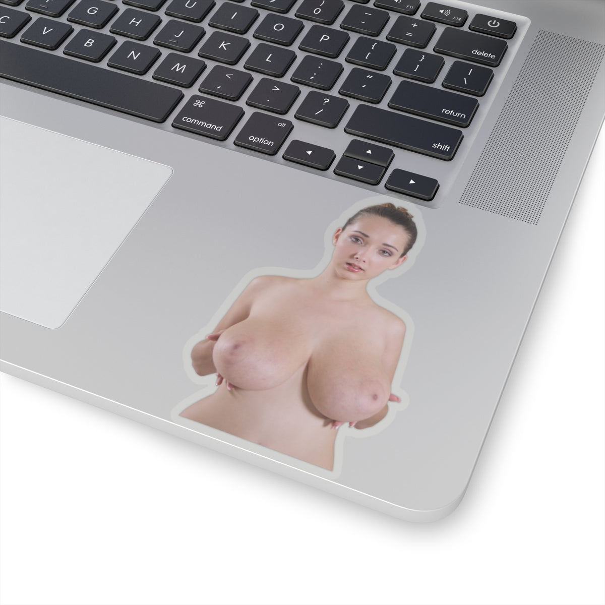 Big Tits Girl Sticker
