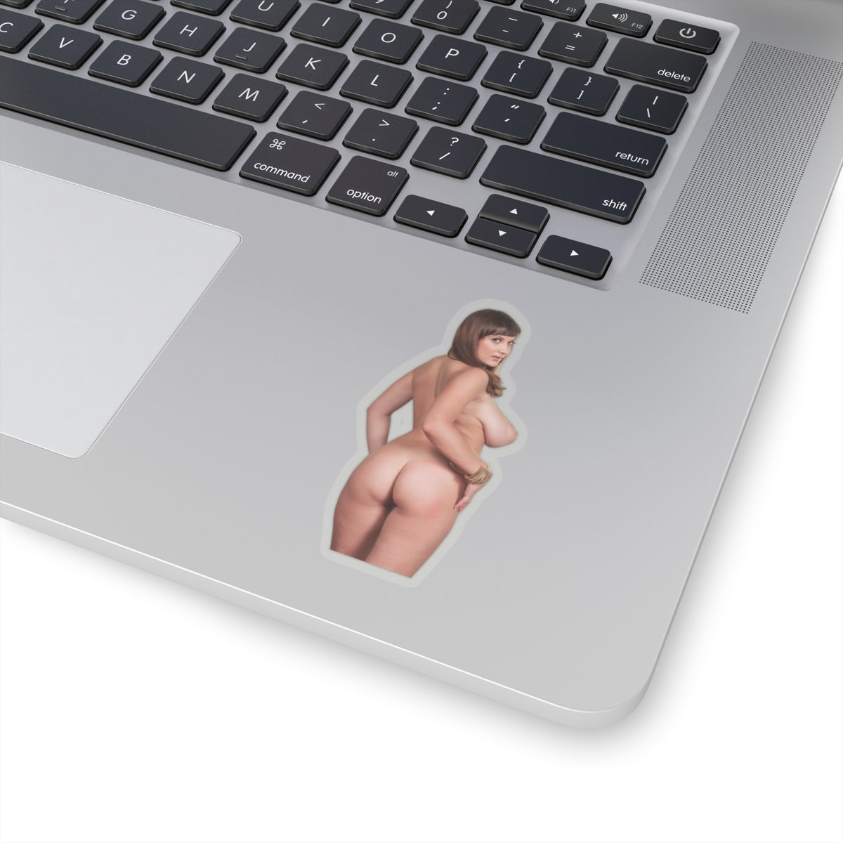 Big Tits Girl Sticker Uncensoerd Stickers For Adults