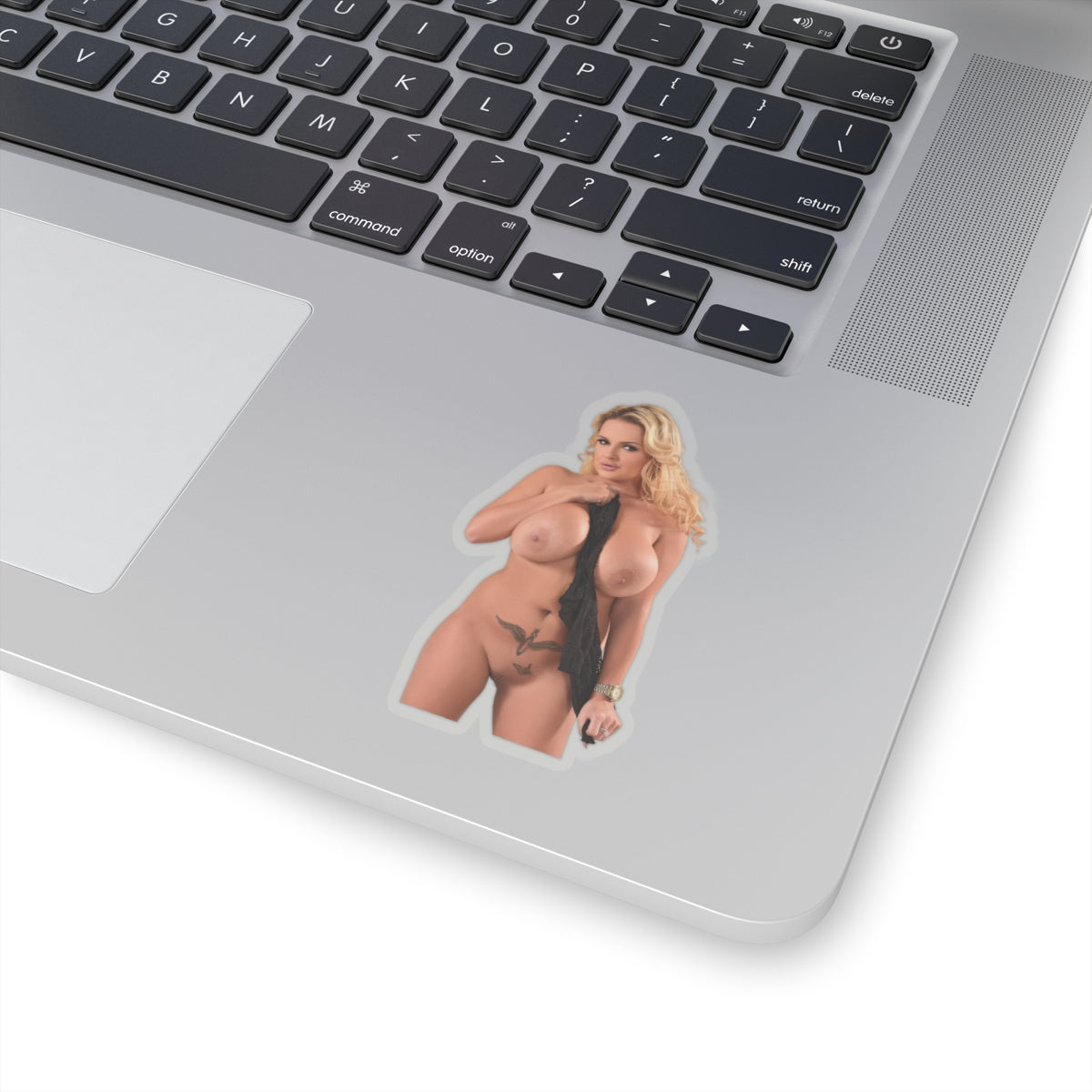 Huge Breast Girl Stickers