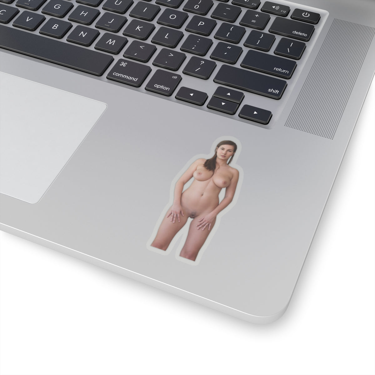 Pinup Stickers Sexy Naked Girl Sticker