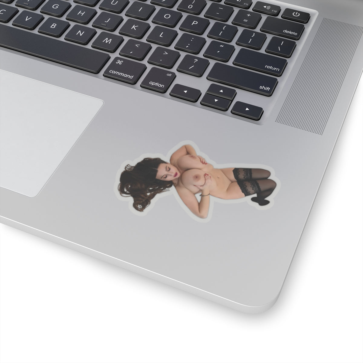 Huge Boobs Big Tits Girl Stickers
