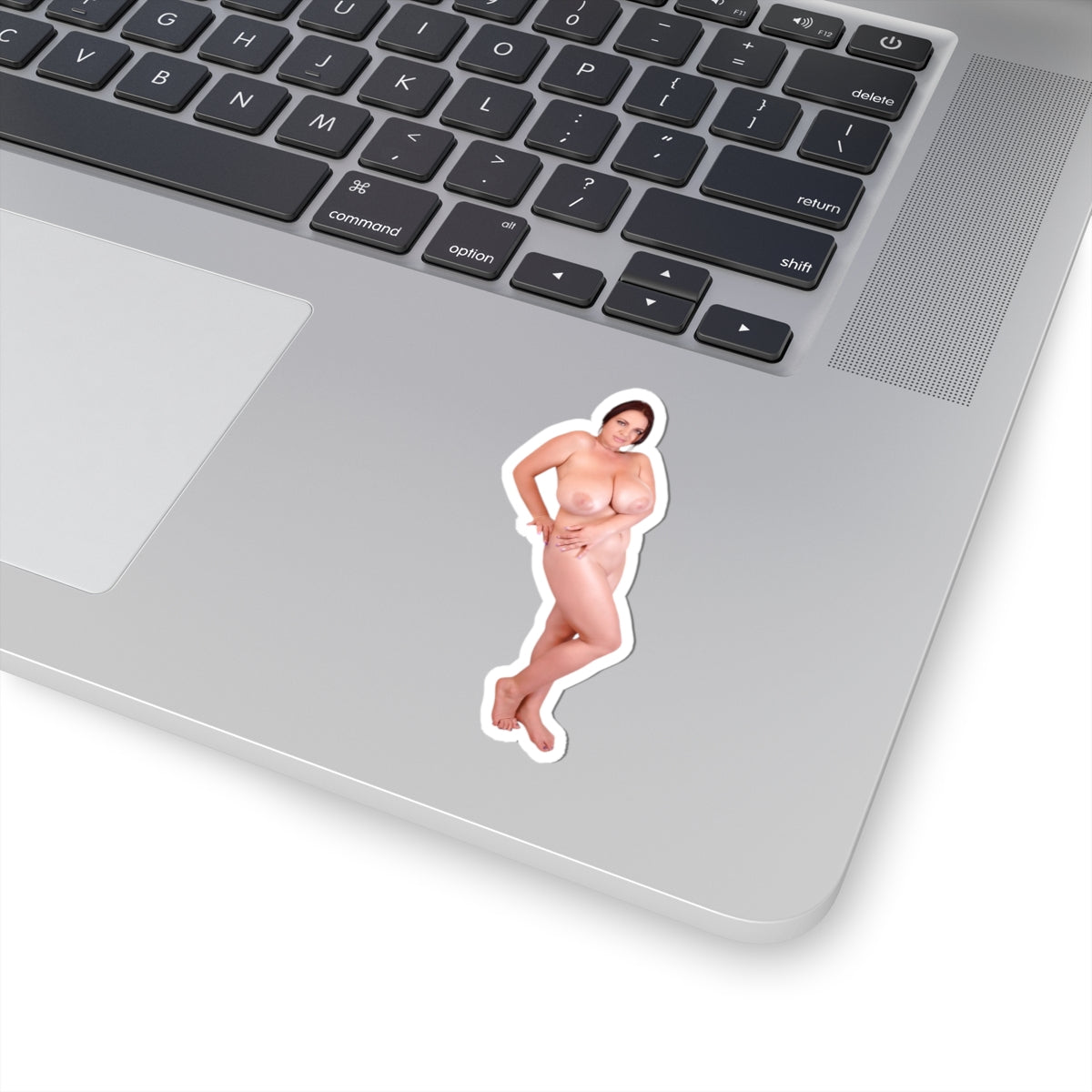 Nudity Stickers Big Breast Sexy Women Sticker