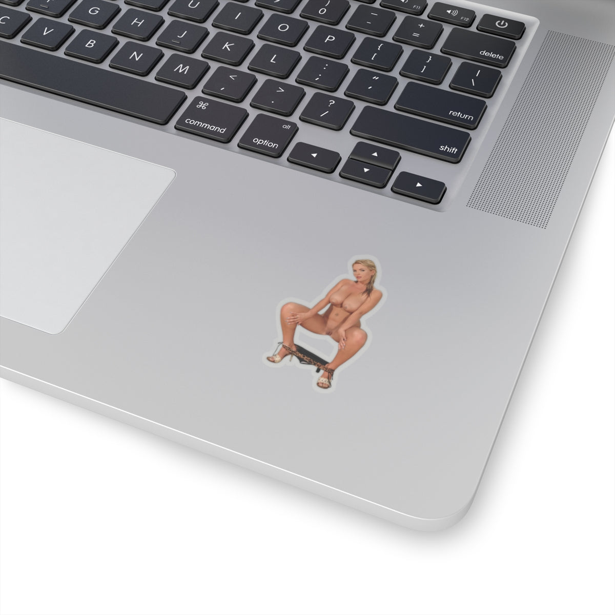 Blonde Sexy Naked Girl Ass Tits Sticker