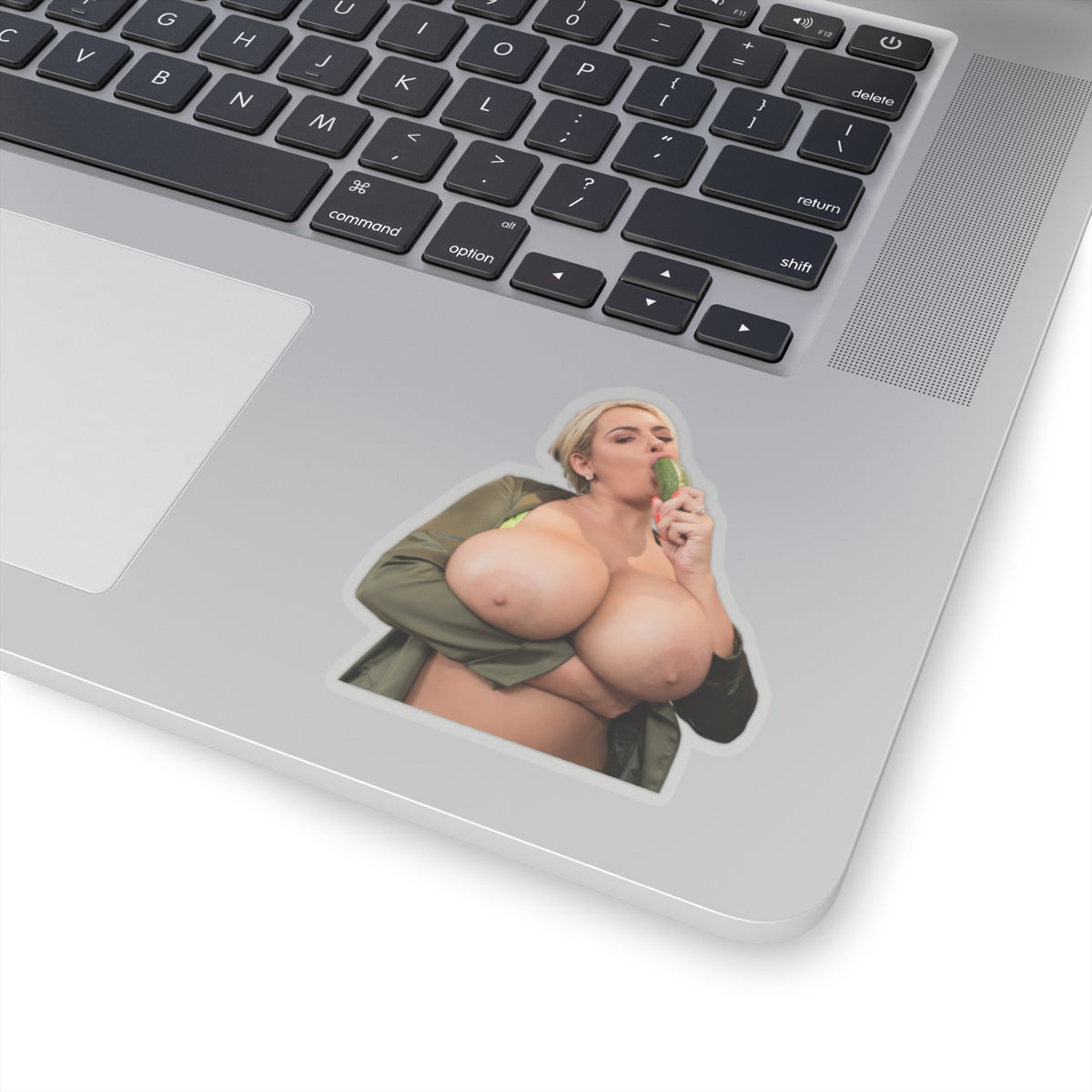 Big, Tits, Blond, Girl, Sticker, Stickers ,For, Him,