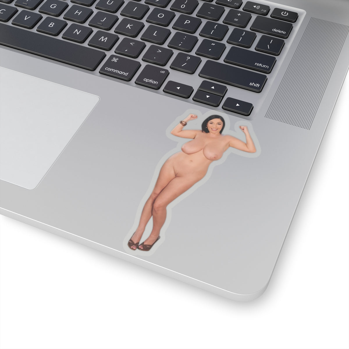 Busty Model Vinyl Decal Sexy Pinup Girl Adult Sticker