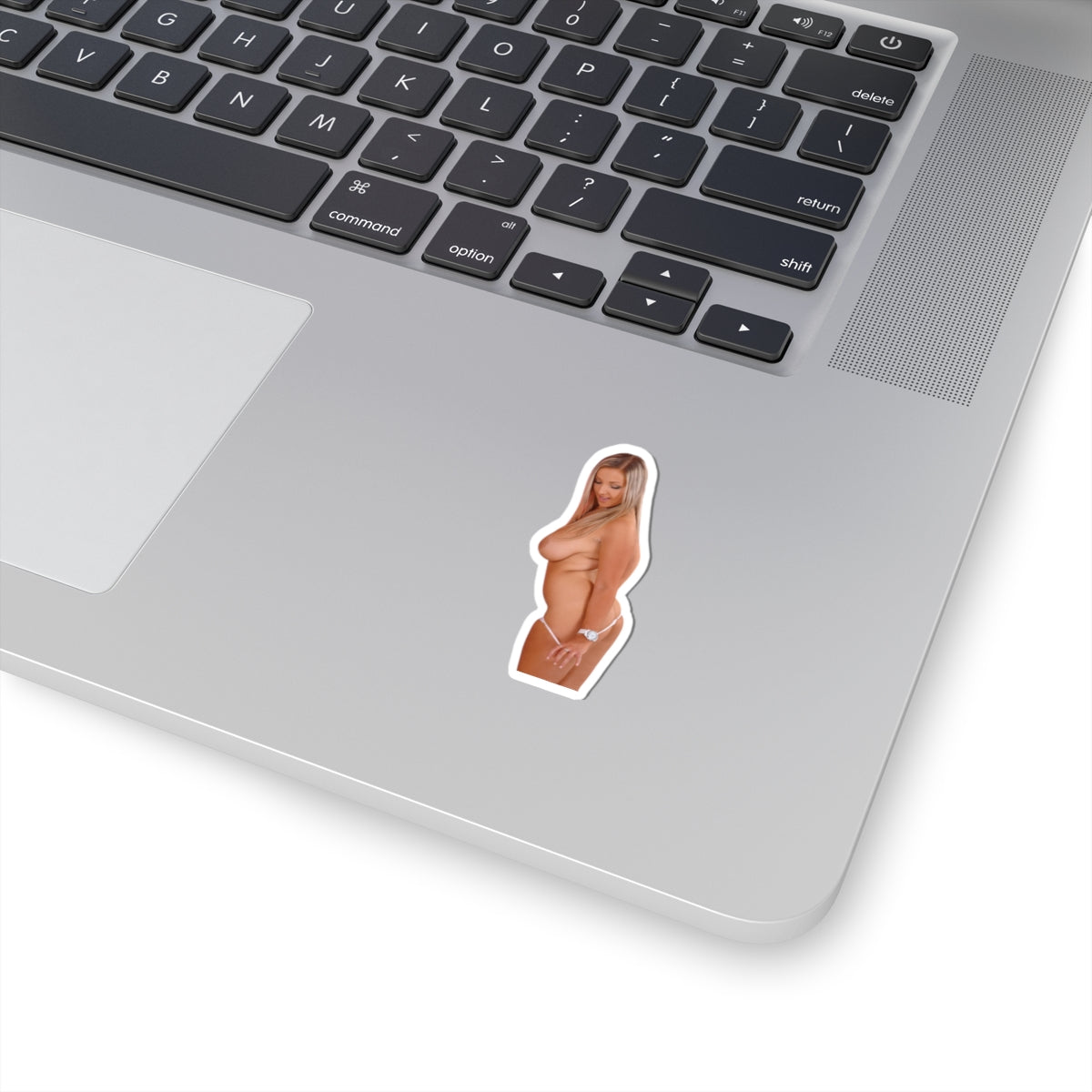 Pinup Girl Sticker Adult Stickers