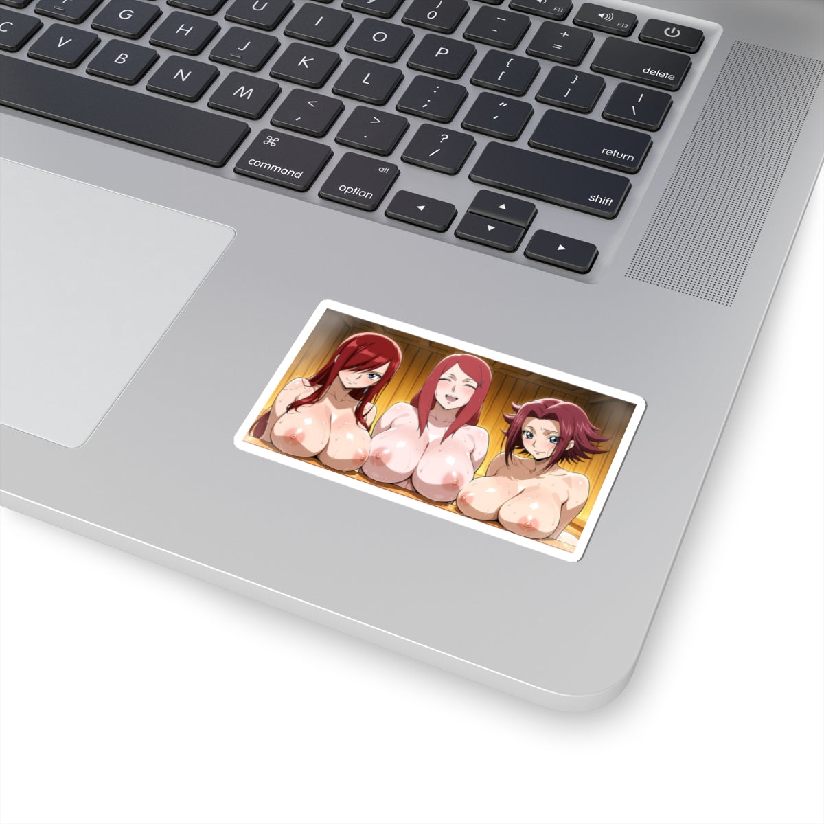 Anime Manga Hentai Stickers Anime Girls Big Boobs Sticker