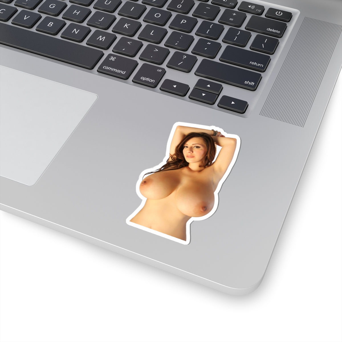 Naked Topless Girl Sticker Big Boobs Model Stickers
