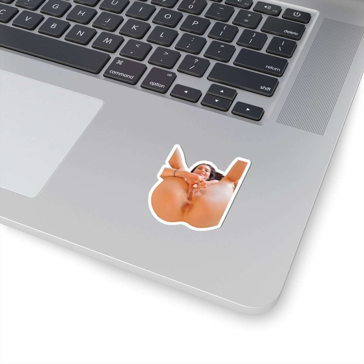 PRETTY GIRL STICKER SEXY PINUP MODEL STICKERS