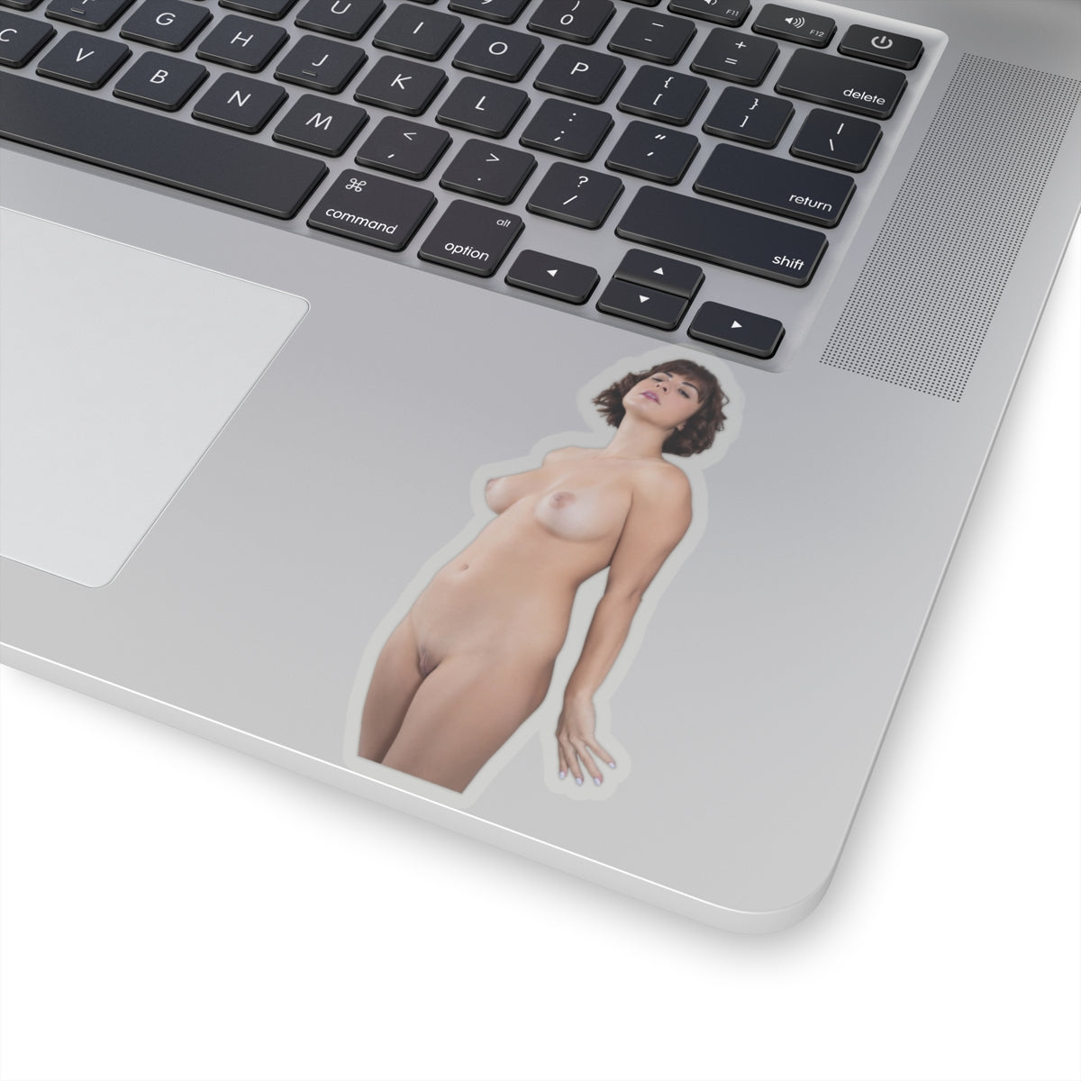 Sexy Girl Sticker Pinup Model Decals