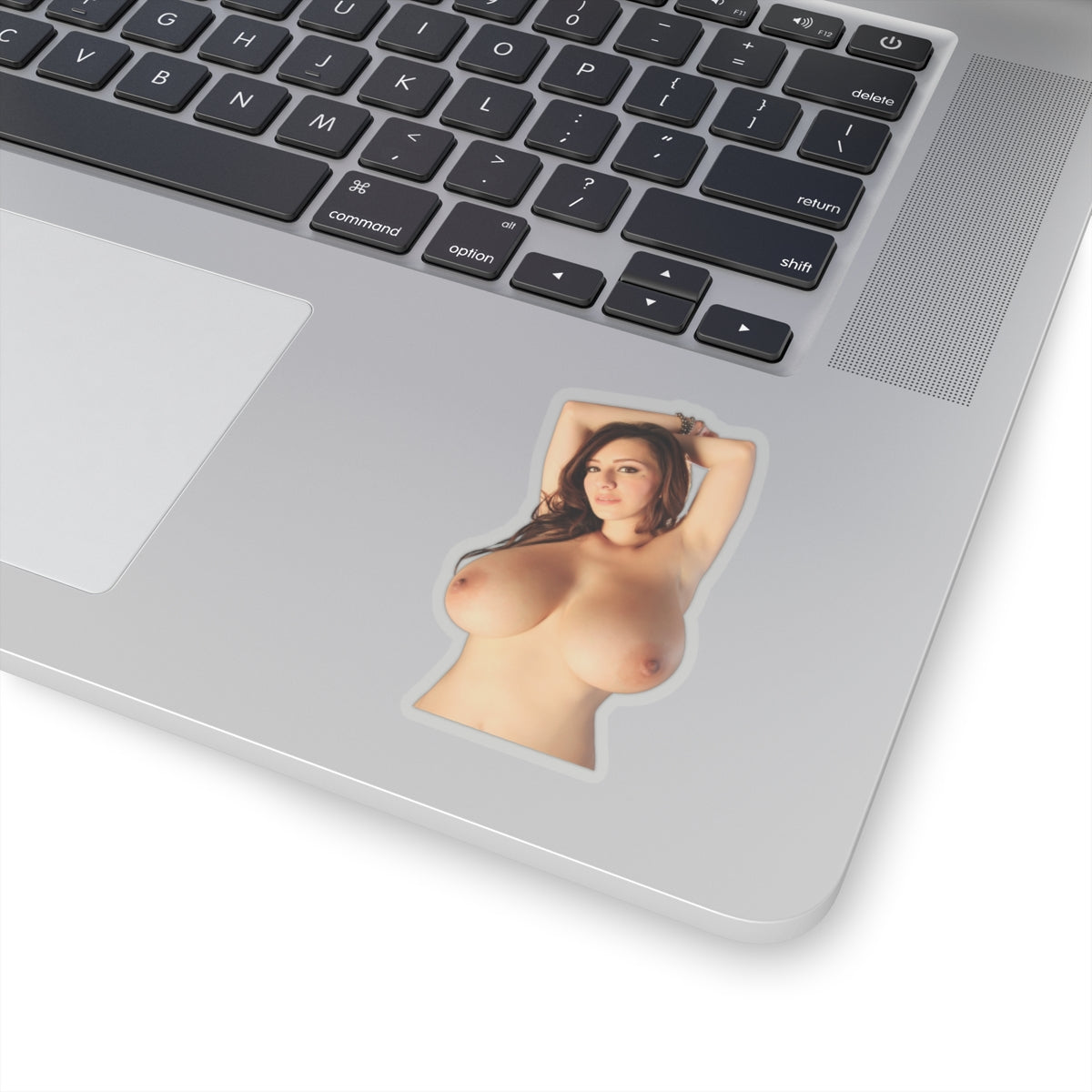 Naked Topless Girl Sticker Big Boobs Model Stickers