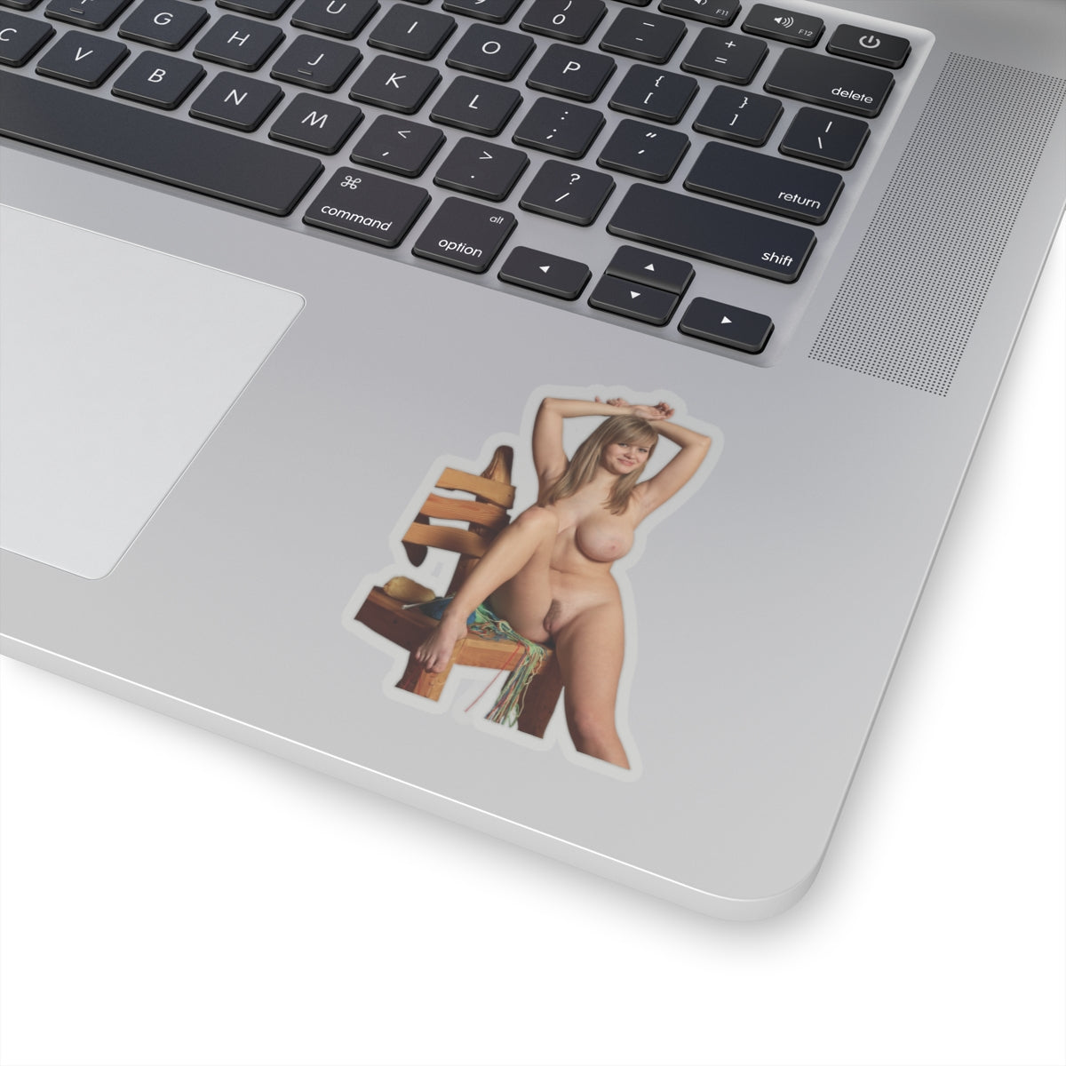 Sexy Big Boobs Naked Girl Sticker Adult Stickers For Men