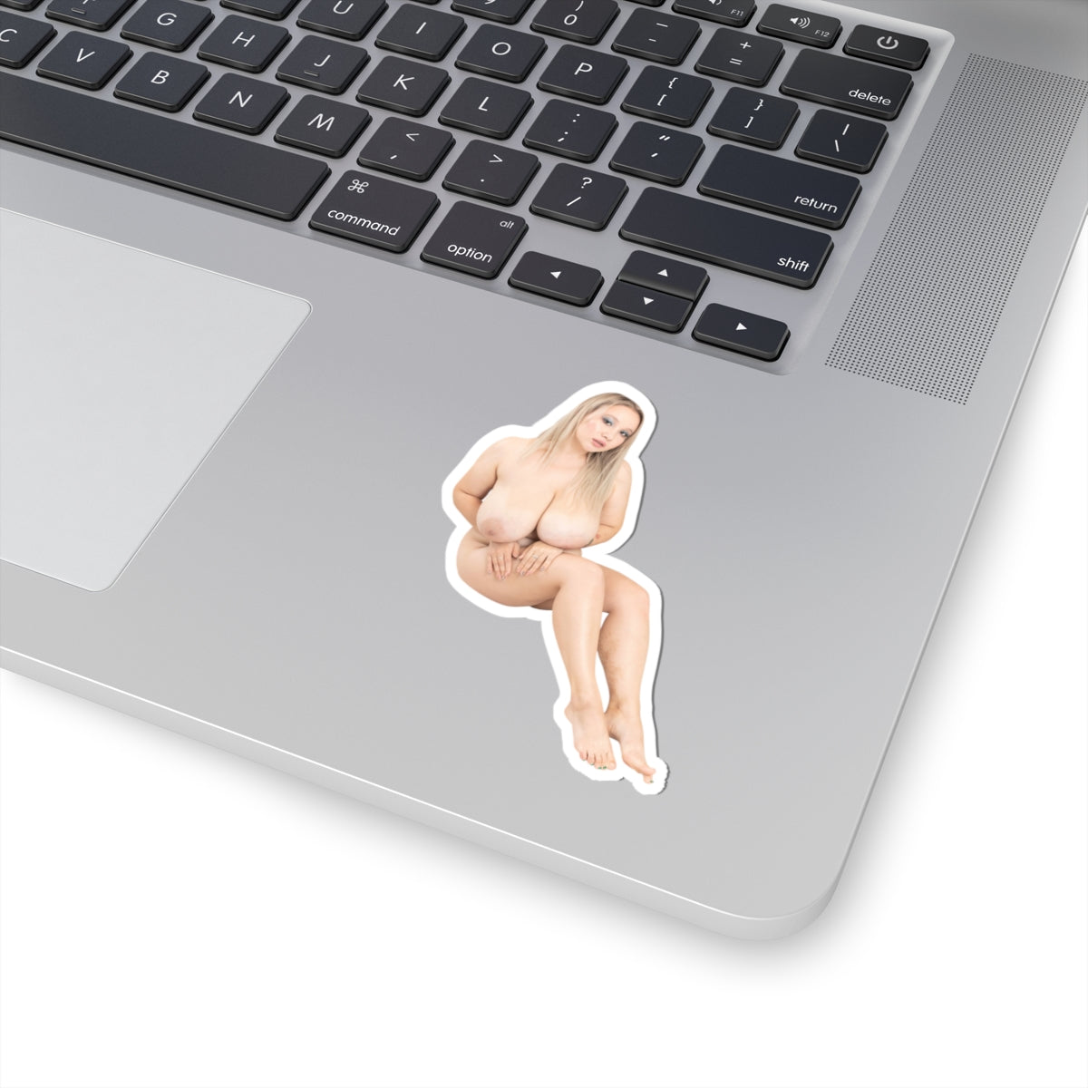 Erotic Sticker Big Tits Pinup Model