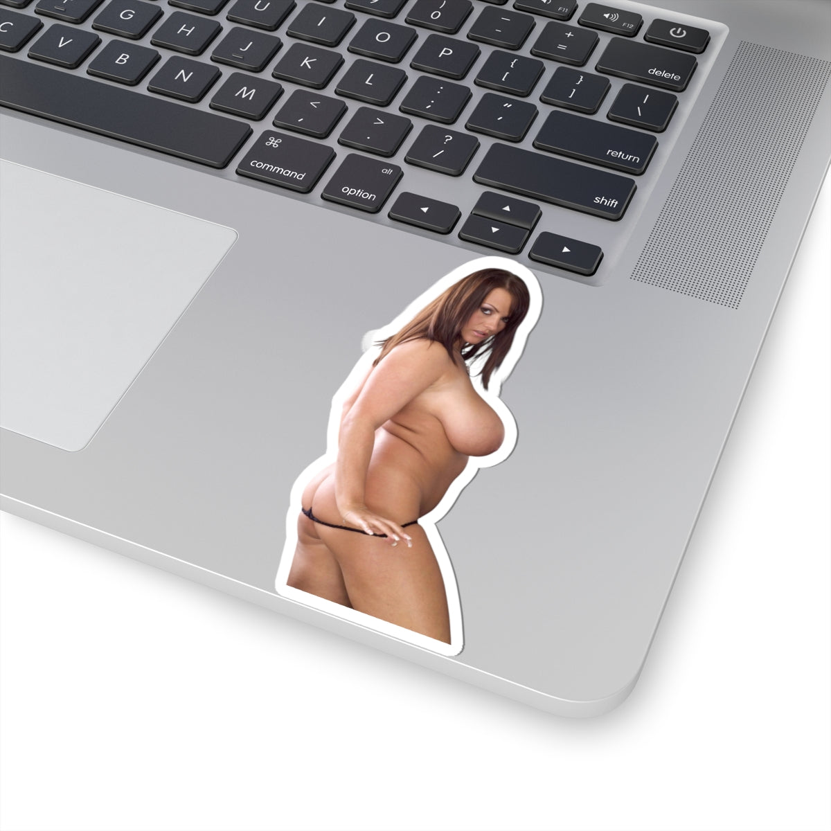 Big Boobs Model Sticker