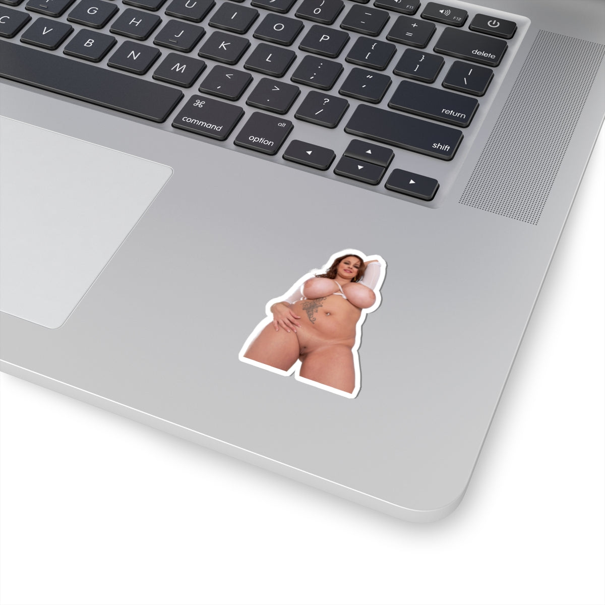 Terri Jane Sticker Big Boobs Girl Stickers