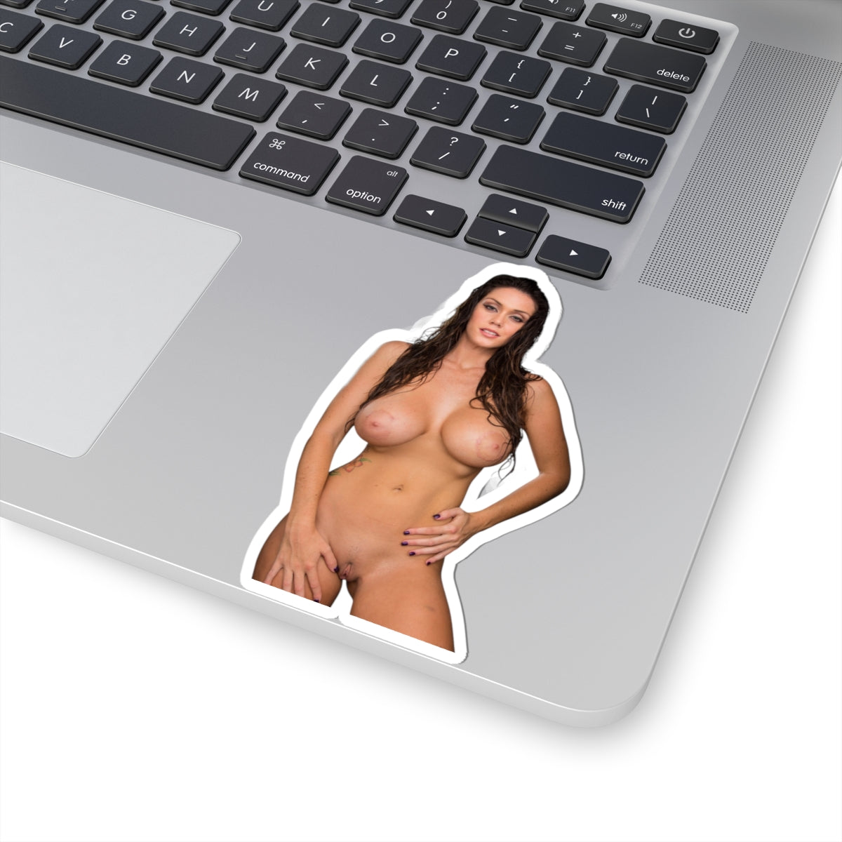 Erotic Sticker Big Tits Pinup Girl Stickers