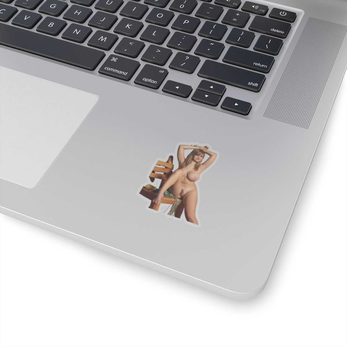 Sexy Big Boobs Naked Girl Sticker Adult Stickers For Men