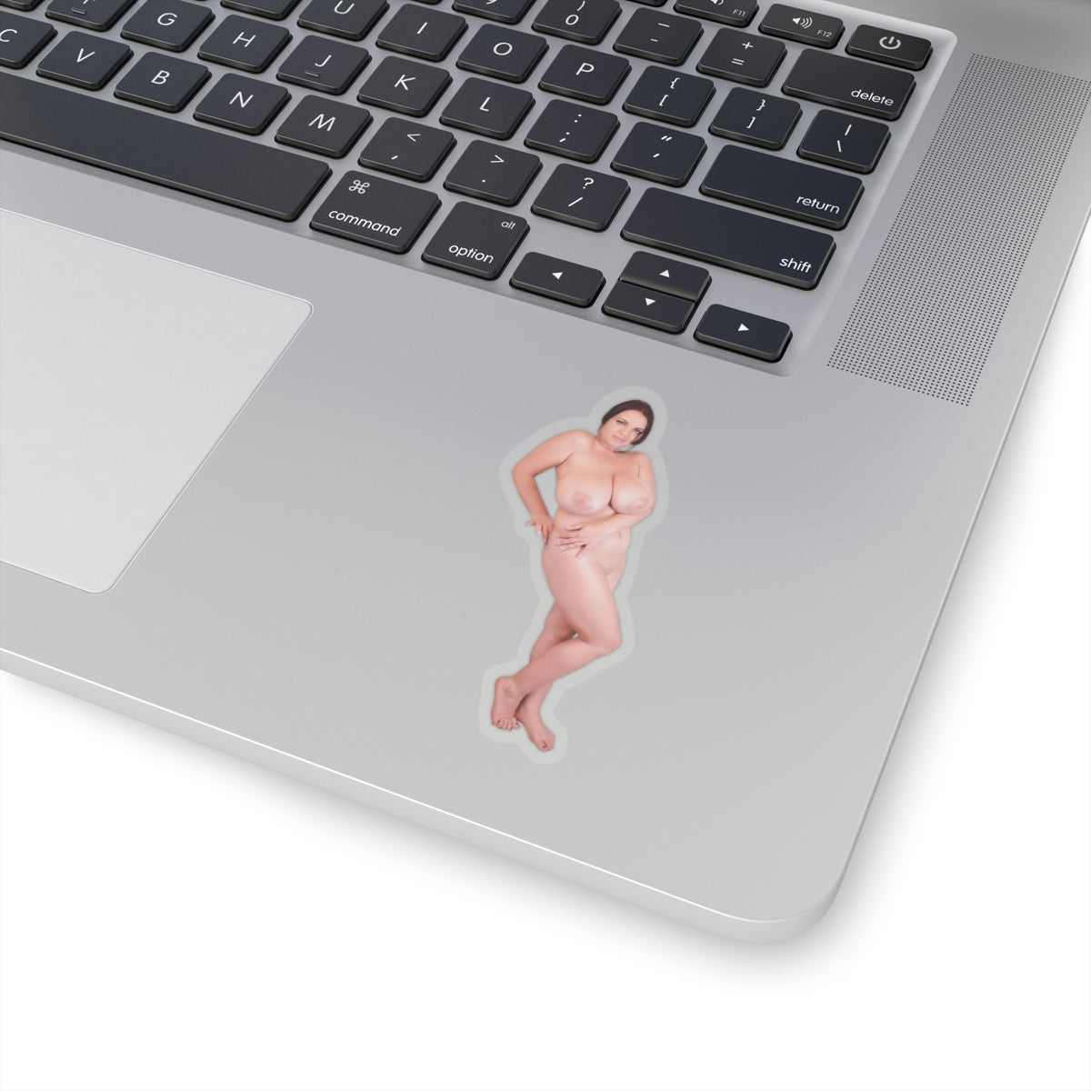 Nudity Stickers Big Breast Sexy Women Sticker