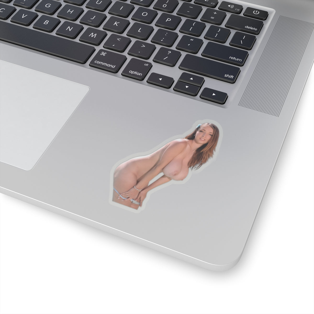 Big Tits Sexy Model Sticker