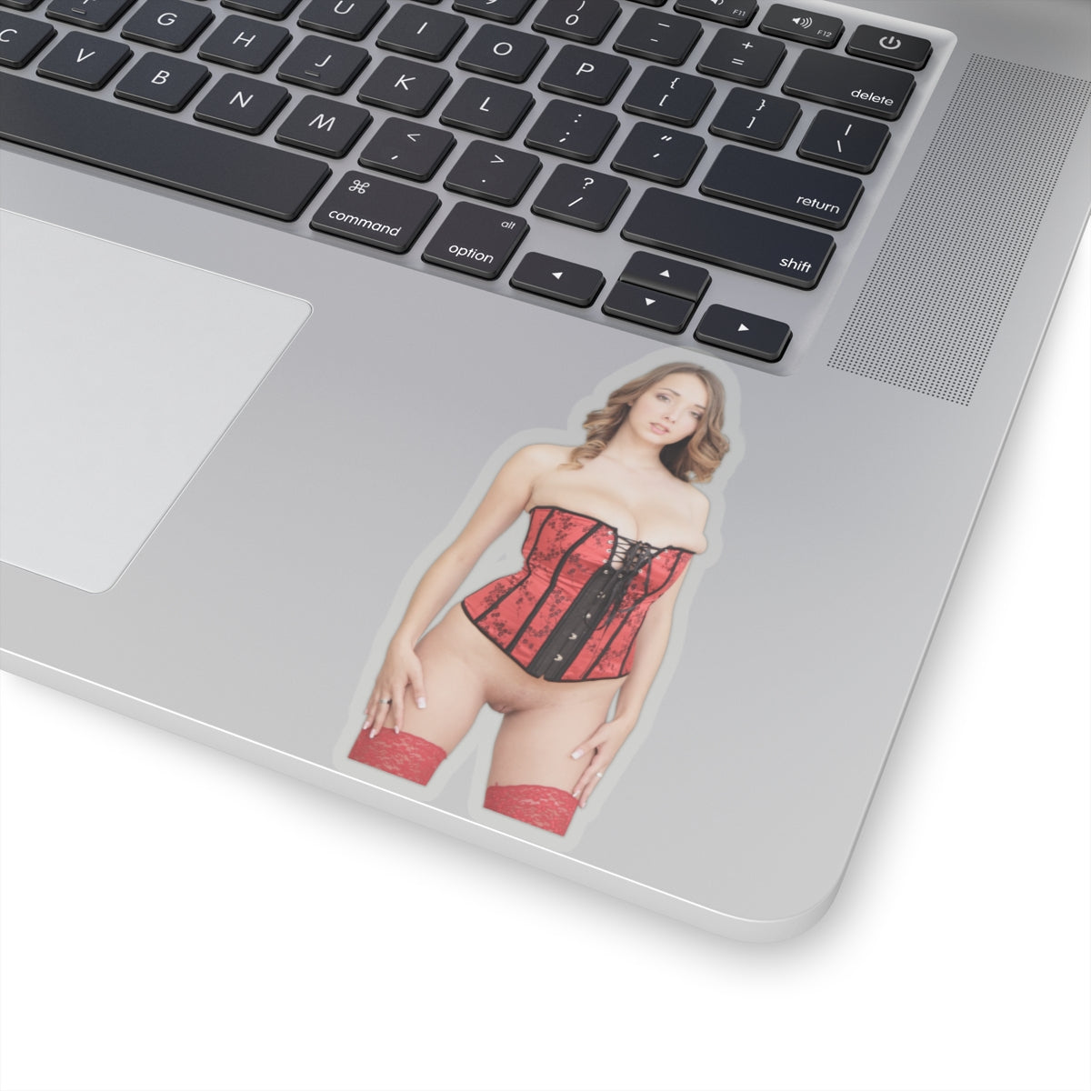 Naked Women Sticker Sexy Girls Adult Stickers