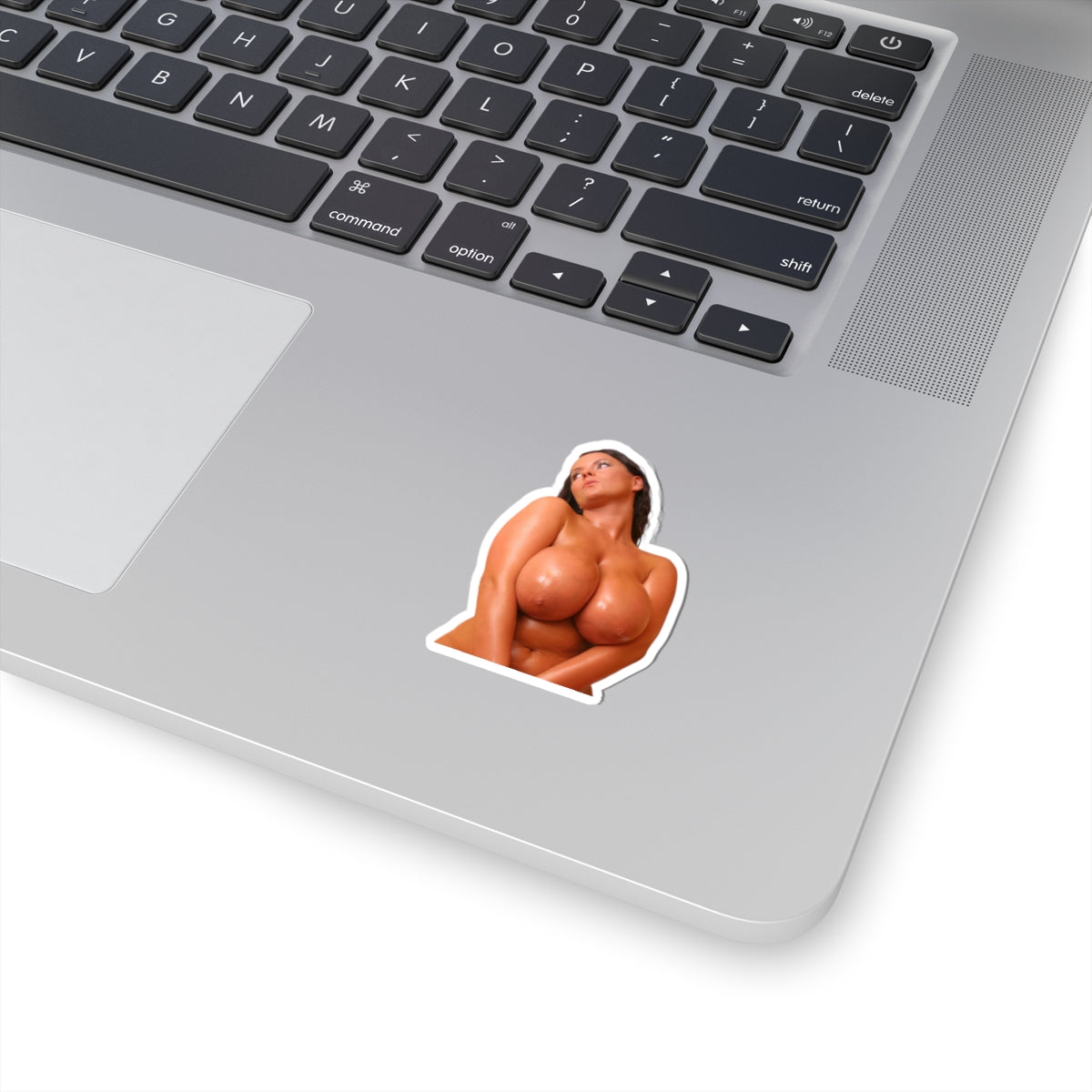 beautiful big boobs girl sticker sexy women uncensored stickers