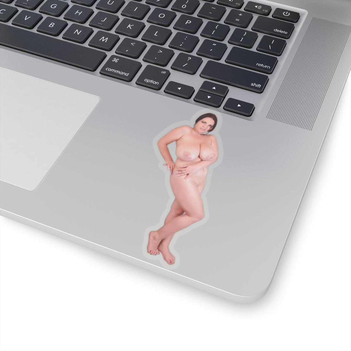 Nudity Stickers Big Breast Sexy Women Sticker