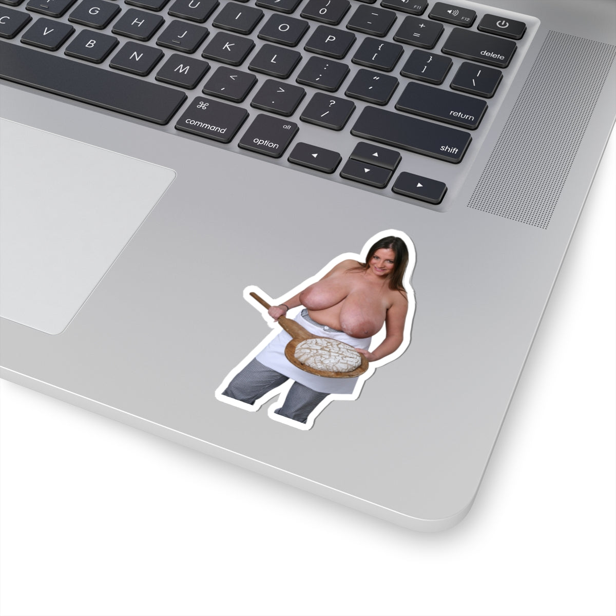 Nadine Jansen Big Boobs Model Sticker Sexy Pinup Stickers