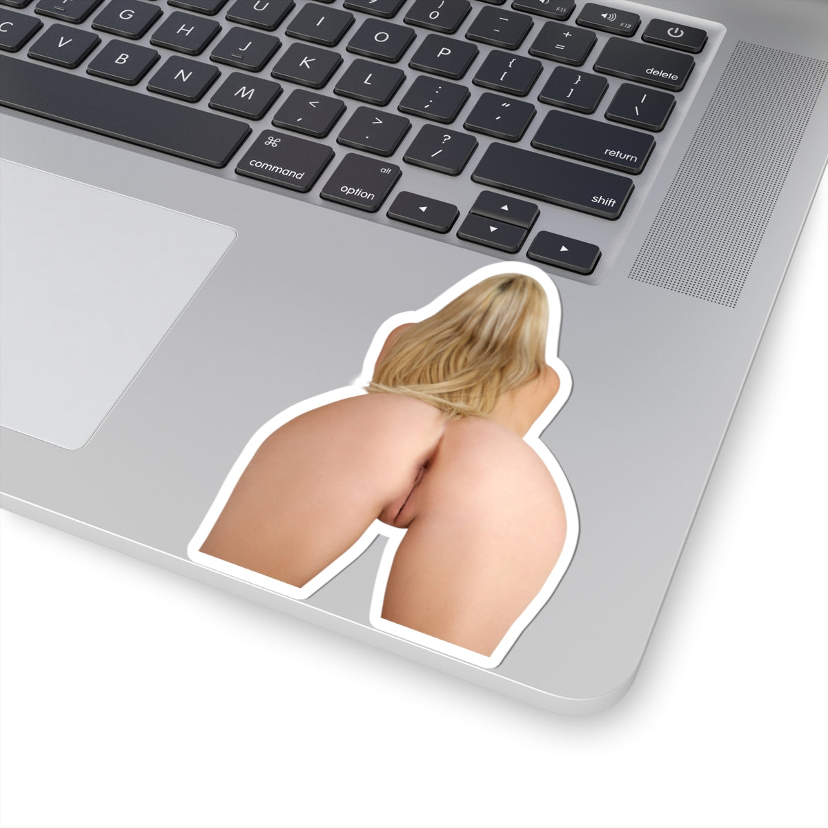 Naked Ass Girl Sticker Funny Stickers