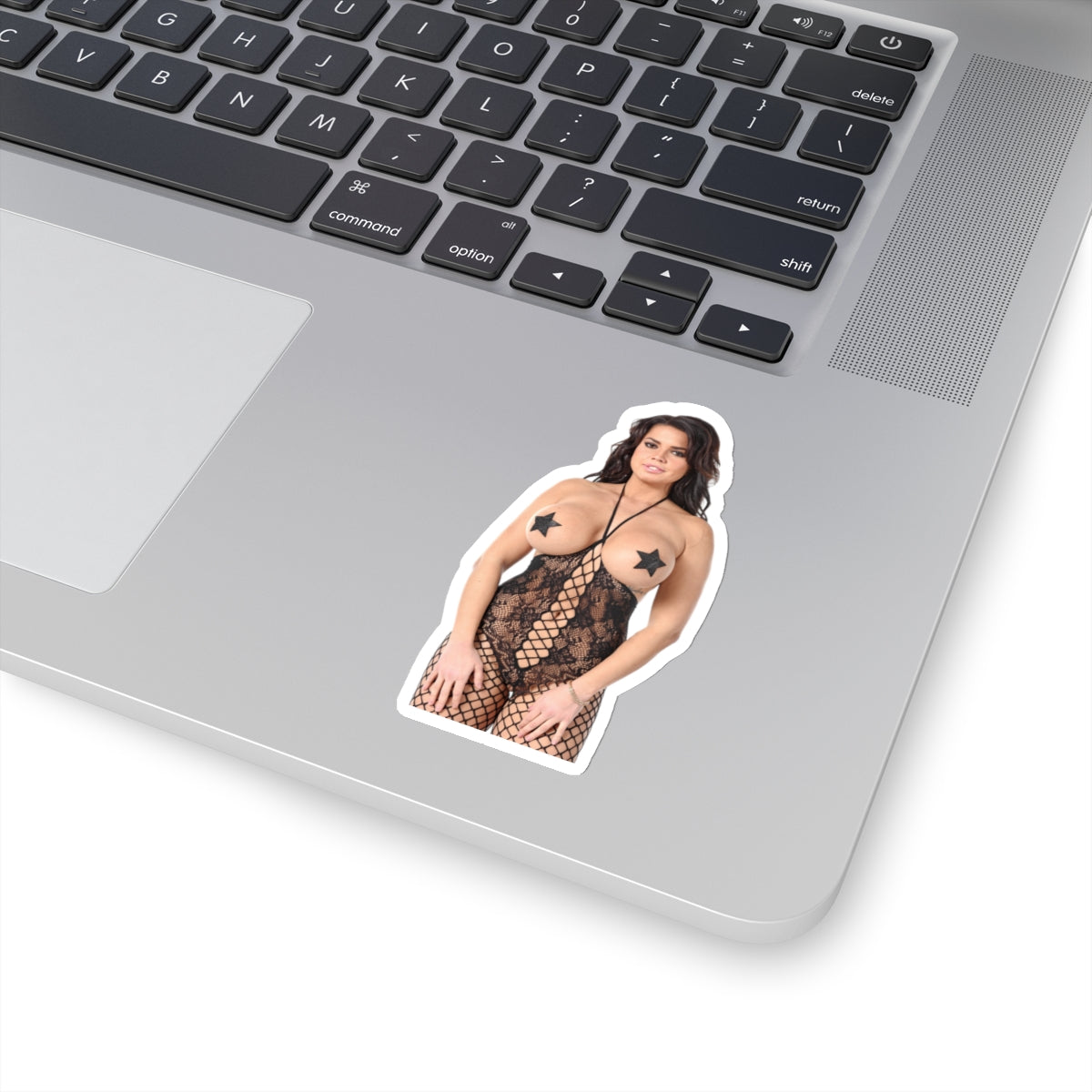 Pinup Model Sticker Adult Stickers Beautiful Women Hot Girl Stickers For Wall Laptops Fridge E693