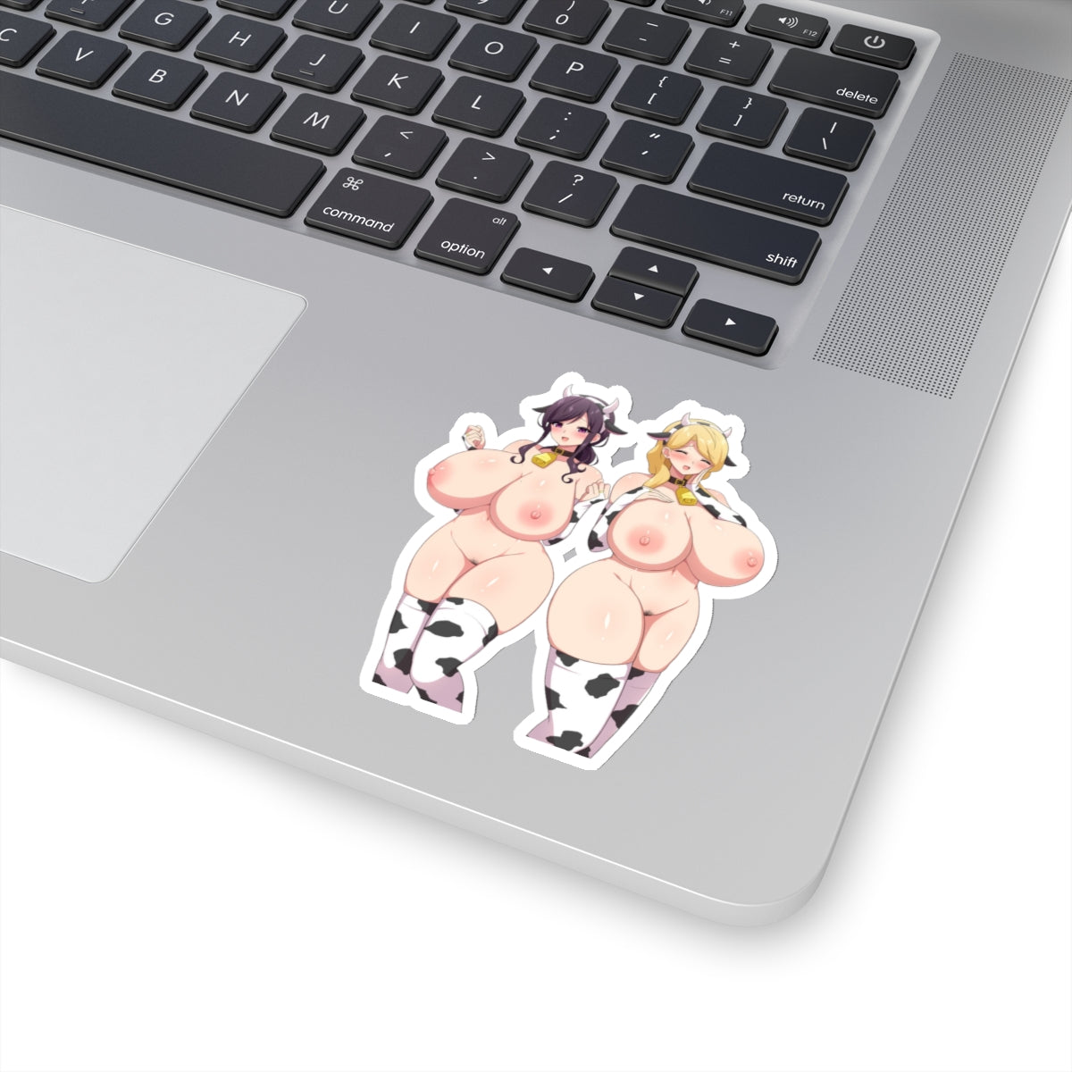 Naked Anime Girls Sticker Adult Art Hot Girl Kawaii Women Mature Content 4 Sizes Transparent or White Vinyl Stickers E217