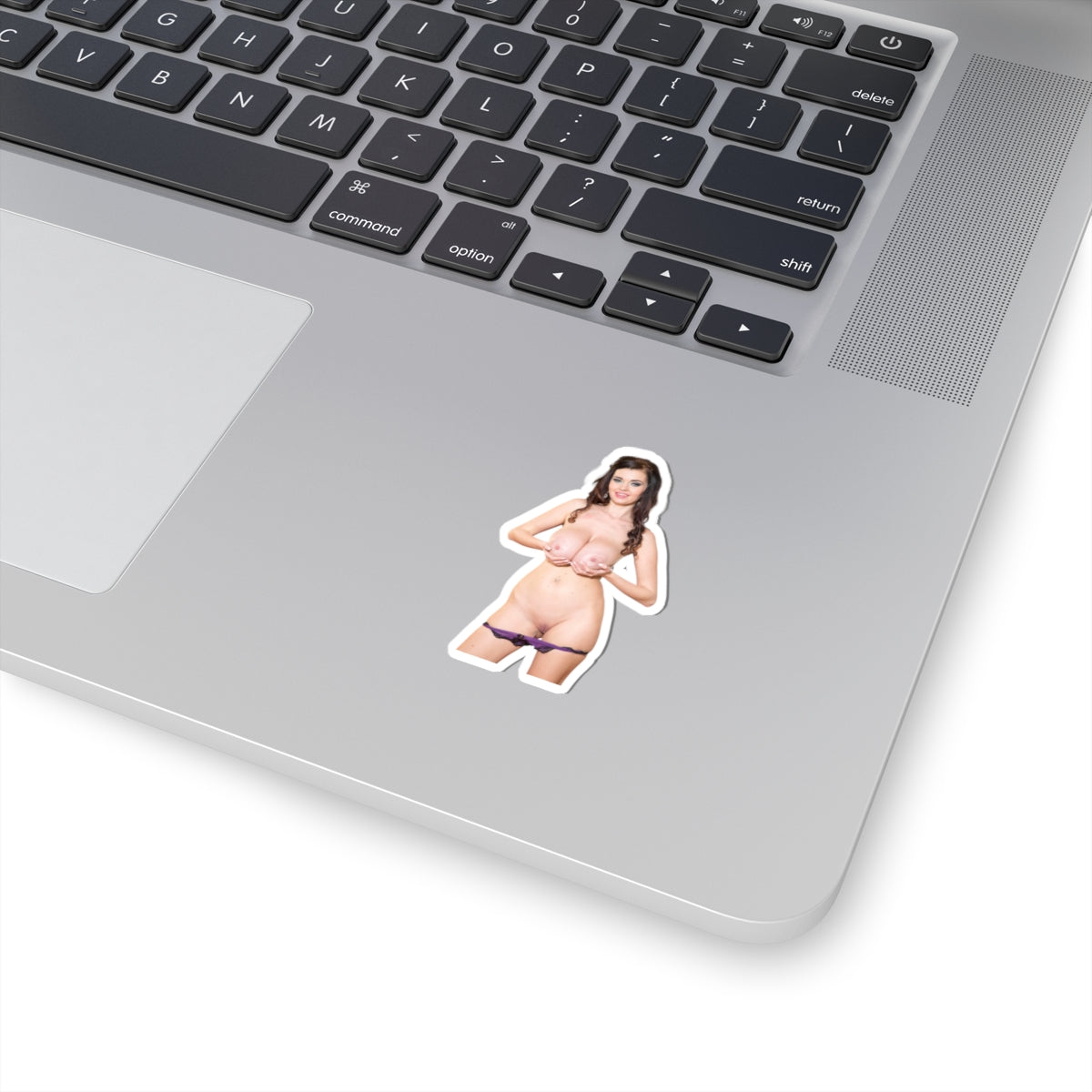 Big Boobs Girl Sticker Adult Stickers