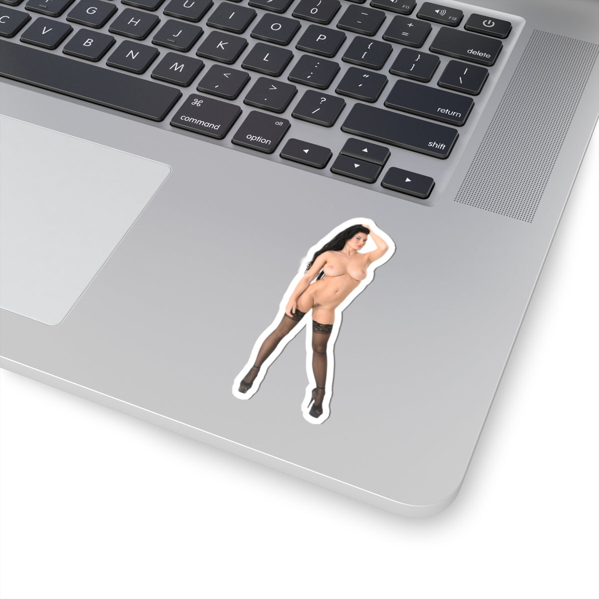 sexy brunette sticker nude pinup model stickers