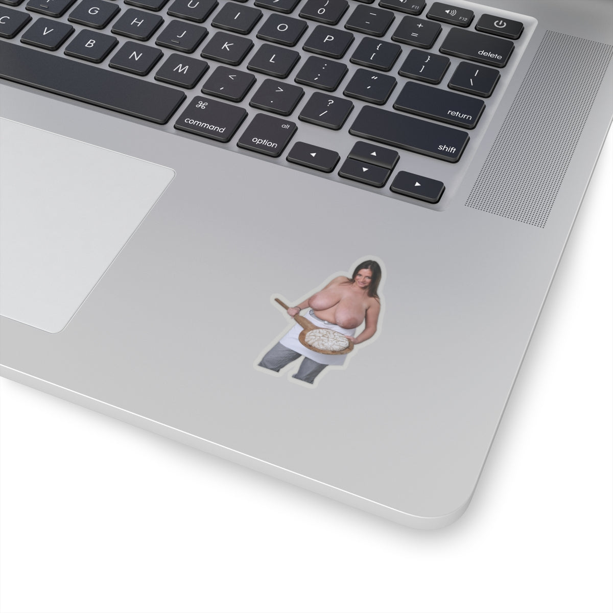 Nadine Jansen Big Boobs Model Sticker Sexy Pinup Stickers