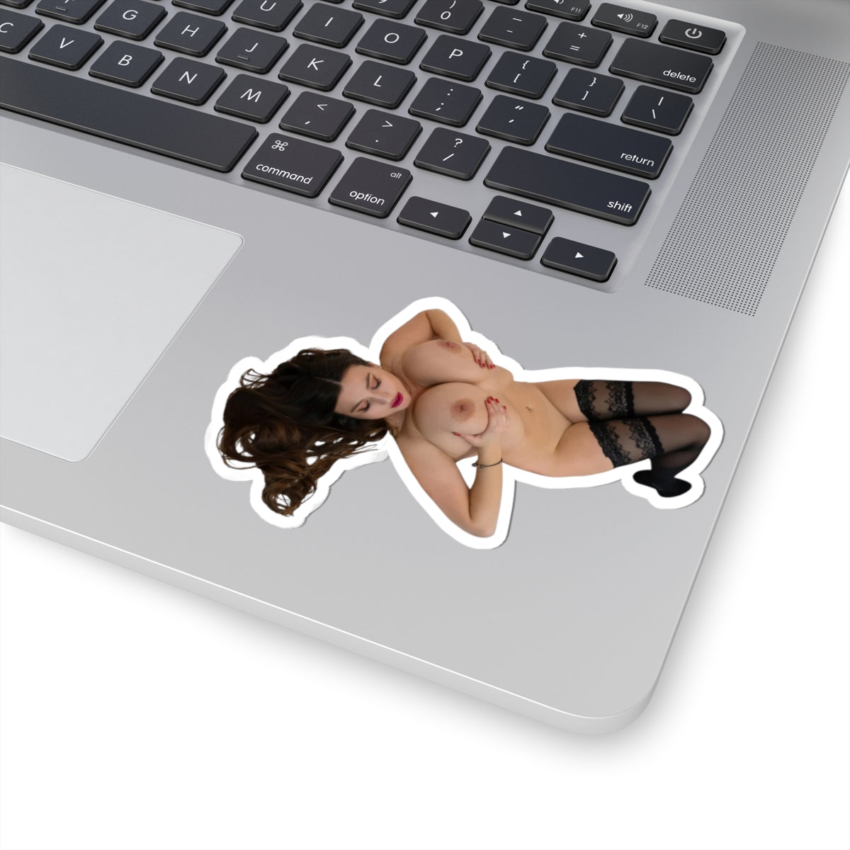 Huge Boobs Big Tits Girl Stickers